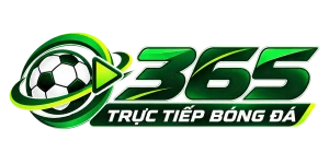 Logo Trực tiếp bóng đá 365